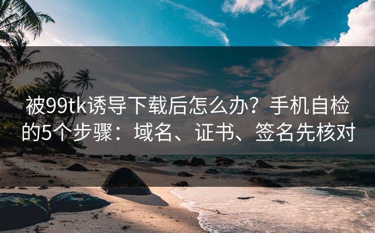 被99tk诱导下载后怎么办？手机自检的5个步骤：域名、证书、签名先核对